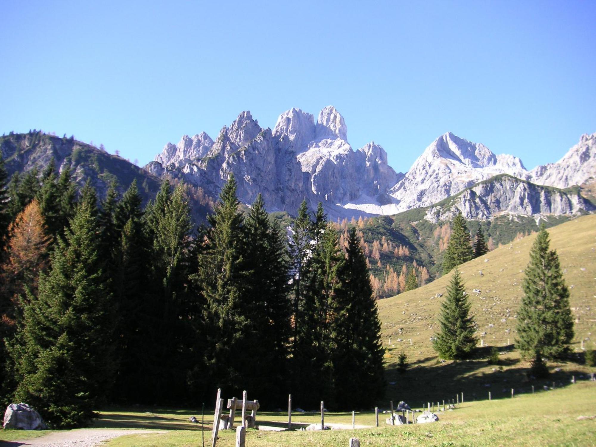 Aparthaus Birkenheim Фильцмос Экстерьер фото
